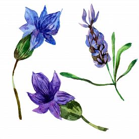 275x275 Drawing Photos And Images