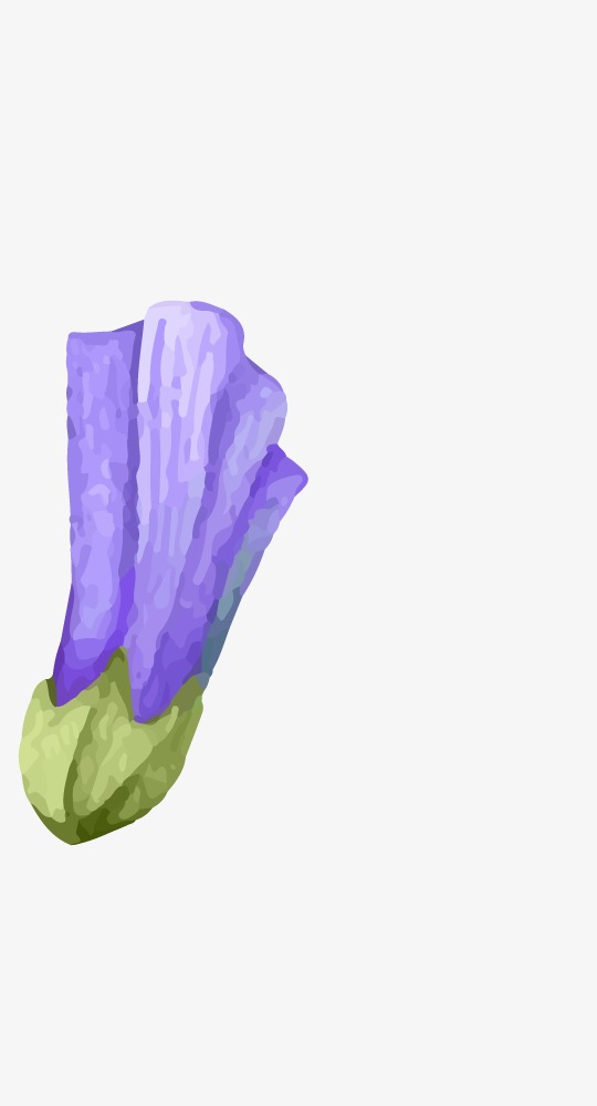 540x1000 Drawing Plant, Plant Clipart, Watercolor, Flowers Png Image