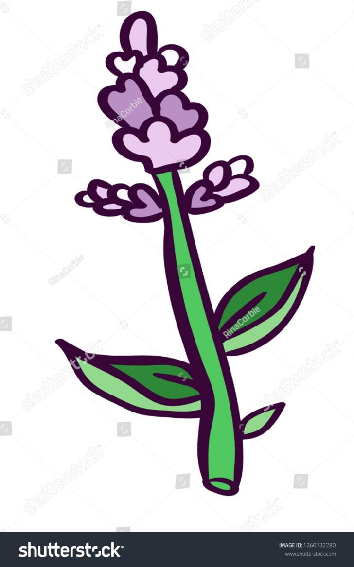 728x1167 Flower Drawings Black And White In Colour For Tattoos Cartoon