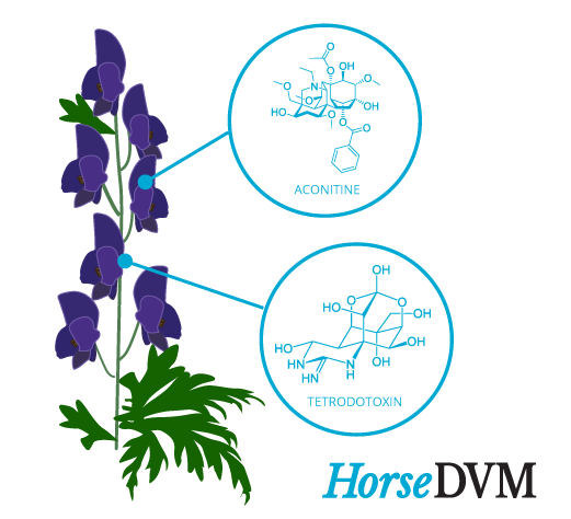 521x474 Wolfsbane Drawing Free Download On Unixtitan