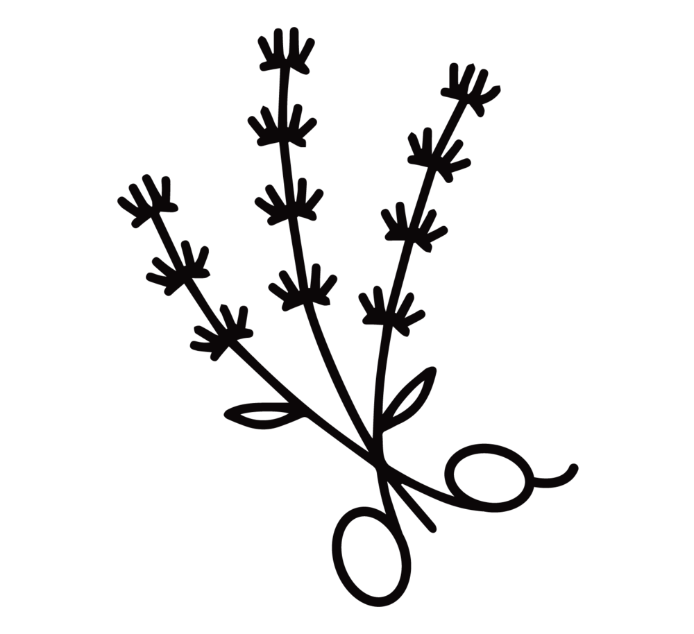 1000x914 Lavender Salon Hugh Mccormick Design