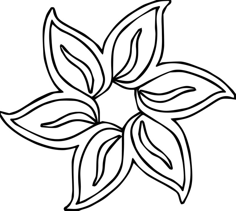 800x715 Images Of Lavender Flower Coloring Pages