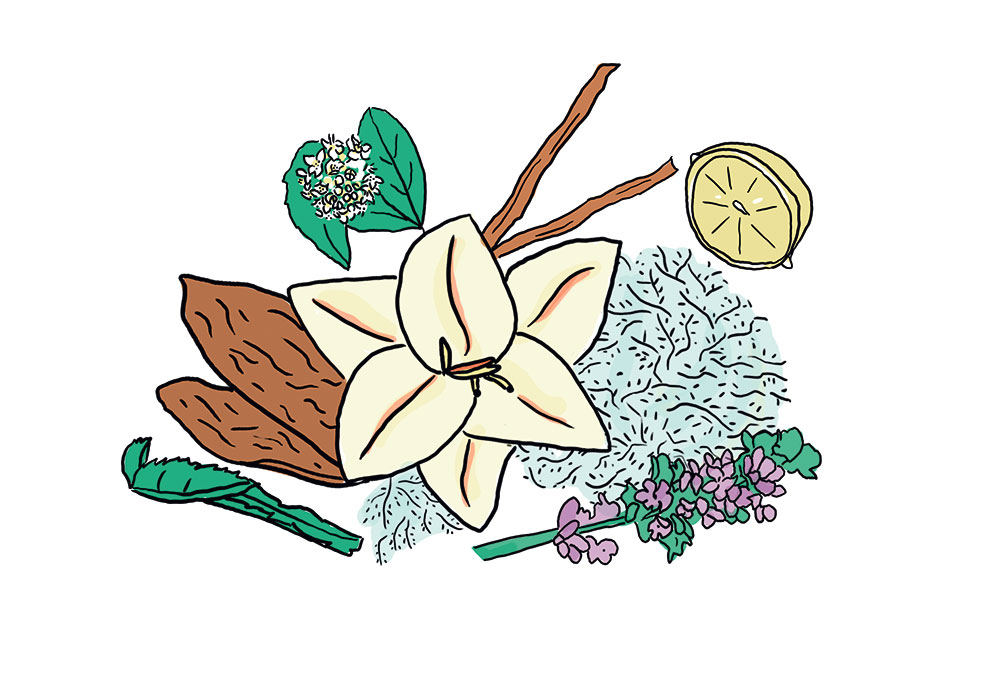 1000x700 Profumi Fragranza Vaniglia