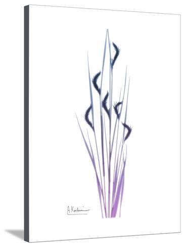 366x488 Wild Flower Posters