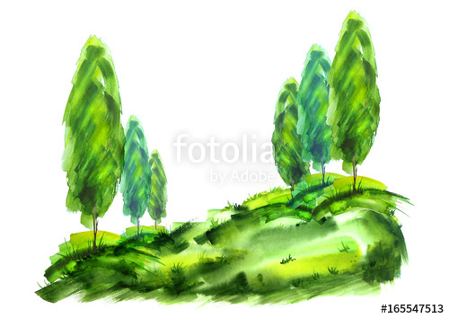 500x354 Watercolor Drawing A Group Of Summer Trees, Maples, Poplars