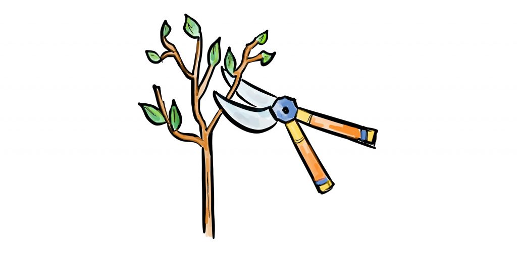 1024x504 what great managers do prune