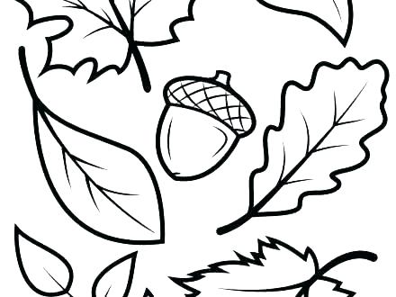 440x330 Fall Leaves Drawing Fall Leaves Cartoon Drawing Gabrielbull Club