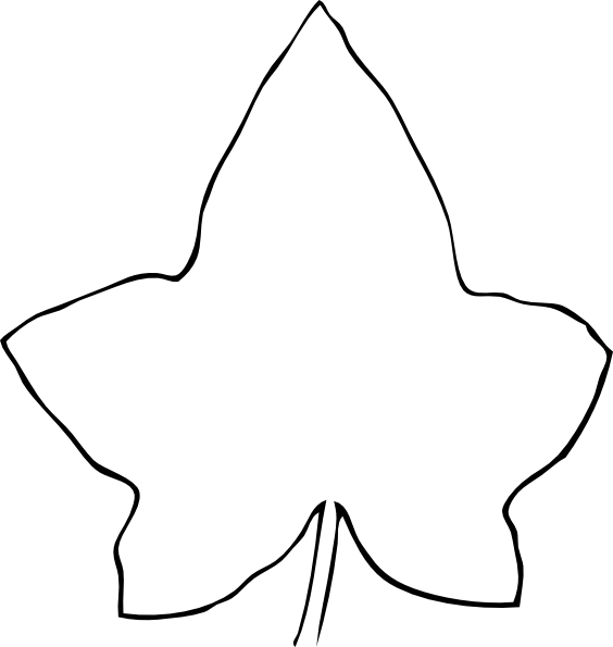 564x595 Foliage Drawing Free Download On Unixtitan