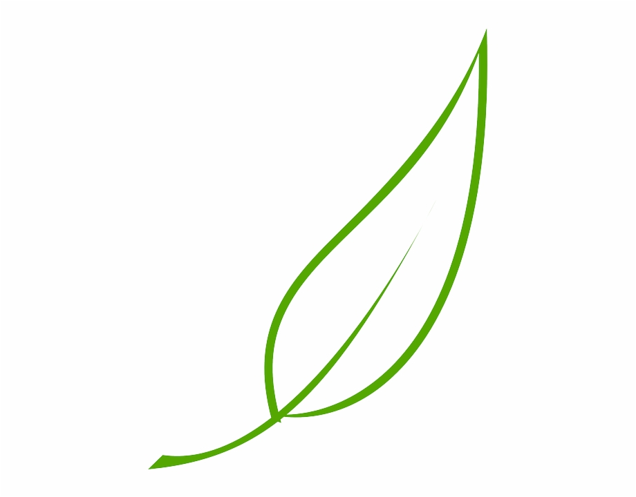 920x720 Green, Outline, Drawing, Leaf, Cartoon, Free, Color