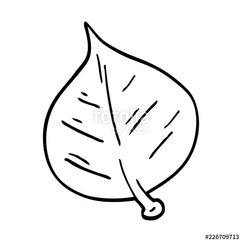 500x500 Line Drawing Cartoon Leaf Stock Image And Royalty Free Vector