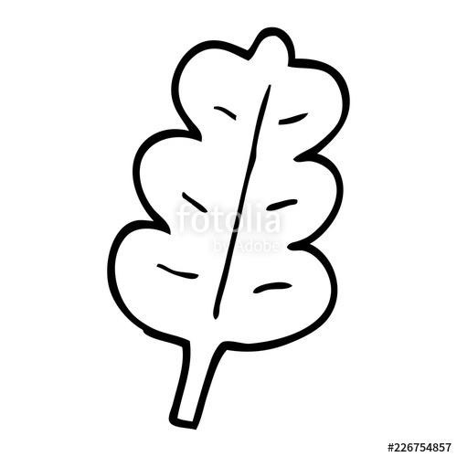 500x500 Line Drawing Cartoon Oak Leaf Stock Image And Royalty Free Vector