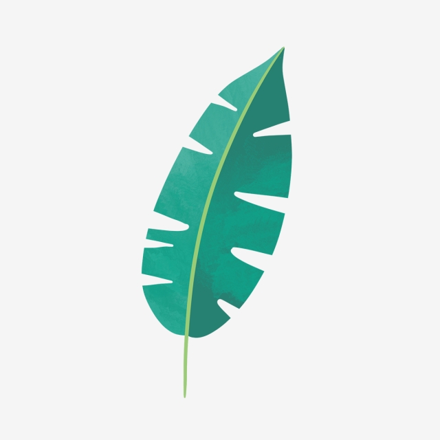 640x640 Hand Drawn Cute Green Big Leaf, Drawing, Nature, Cute Png Clipart