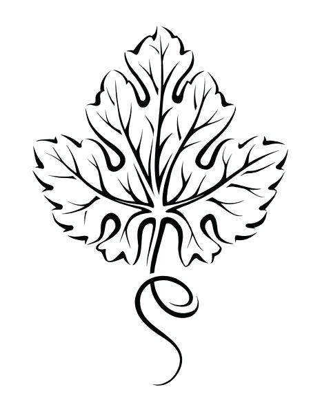 467x600 Sketch Of A Leaf Final Product Image Leaf Sketch Easy