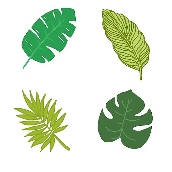 550x550 Tropical Leaf Tumblr Drawing Photographic Print