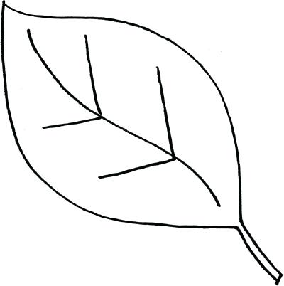 Leaf Drawing Easy | Free download on ClipArtMag