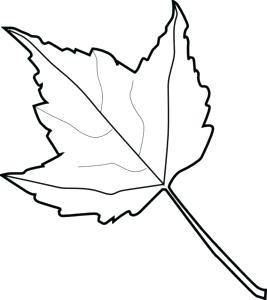 267x300 Fall Leaves Drawing Easy