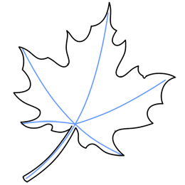 260x260 How To Draw A Leaf