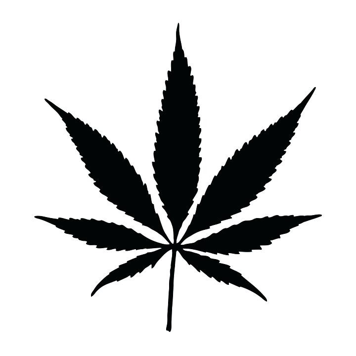 720x720 The Weed Plant Cannabis Pot Leaf Black Drawing Easy Random