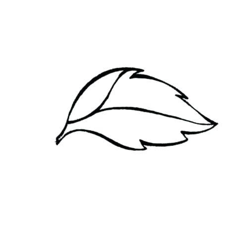 474x459 How To Draw Simple Leaves How To Draw A Tree How To Draw A Simple