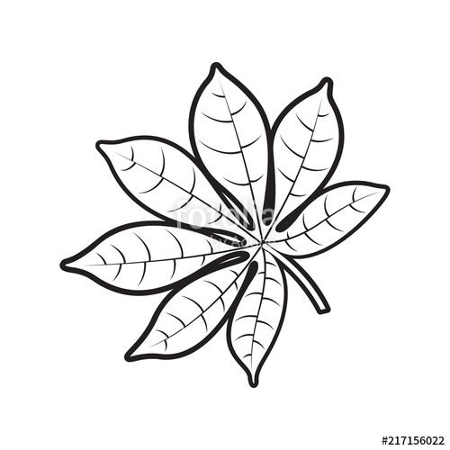 500x500 Black Outline Cassava Leaf Isolated On White Background Vector