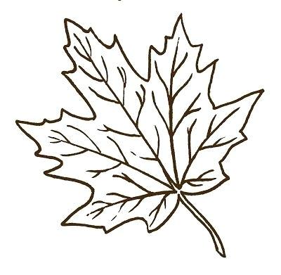 400x391 Easy Leaf Drawing