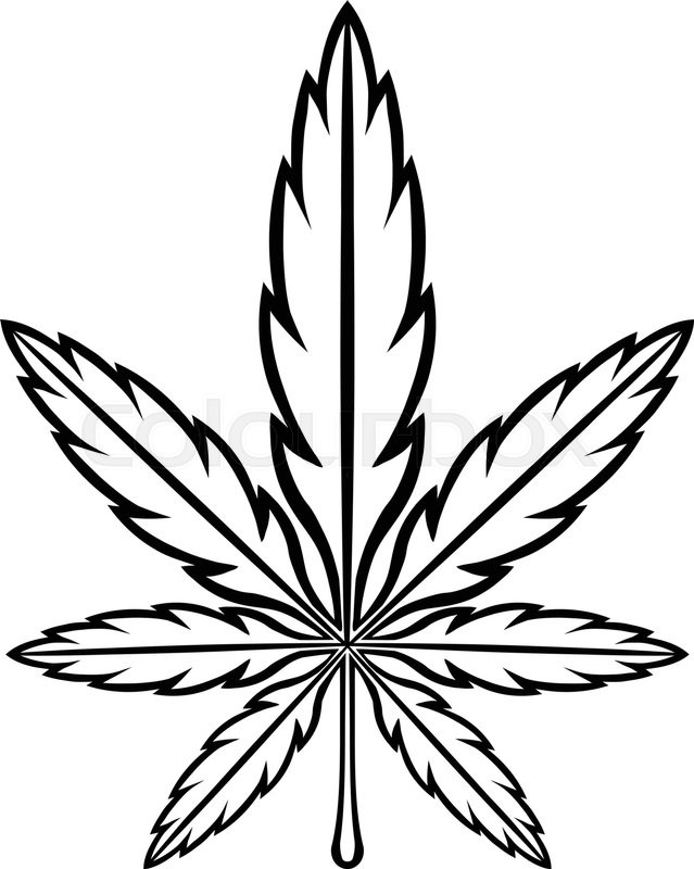 639x800 Pot Leaf Drawing