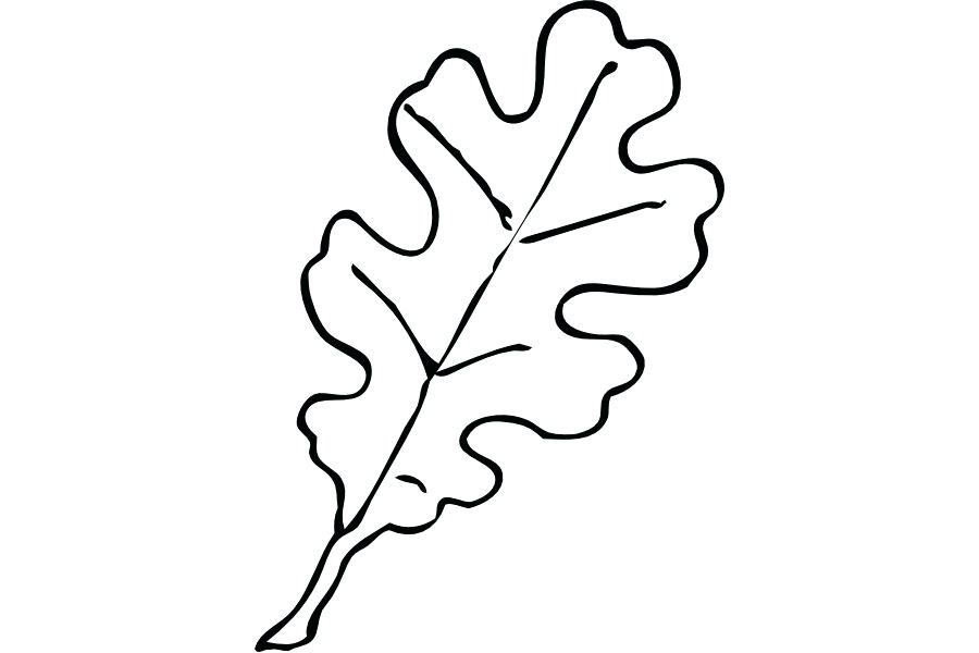 Leaf Drawing Pictures | Free download on ClipArtMag