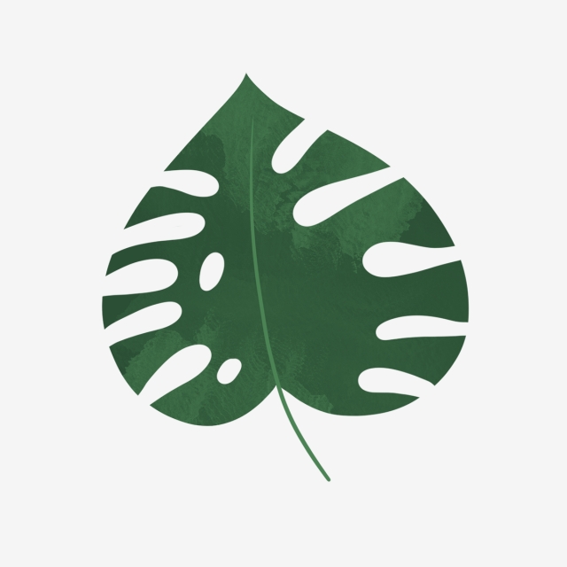 640x640 Hand Drawn Cute Green Tropical Leaf, Leaf, Drawing, Nature Png