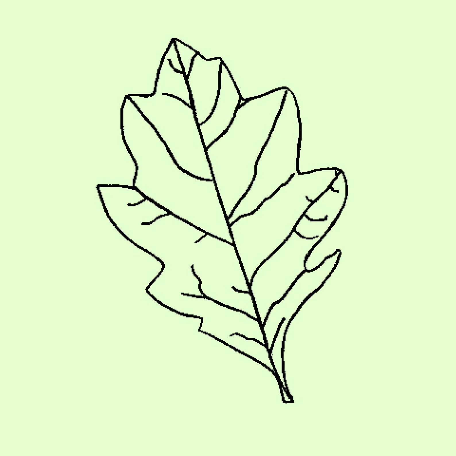 1588x1588 template ideas leaf with lines printable awful writing maple