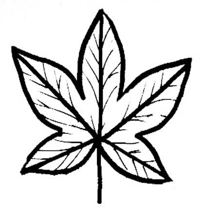 450x450 Leaf Templates For Kid's Crafts