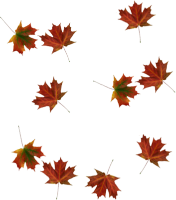 353x400 Fall Clipart Tumblr Collection