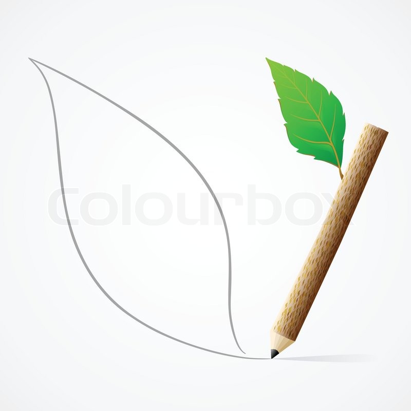 800x800 Pencil Drawing Leaf Stock Vector Colourbox