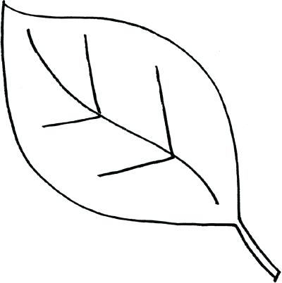 400x402 Drawing Leaf