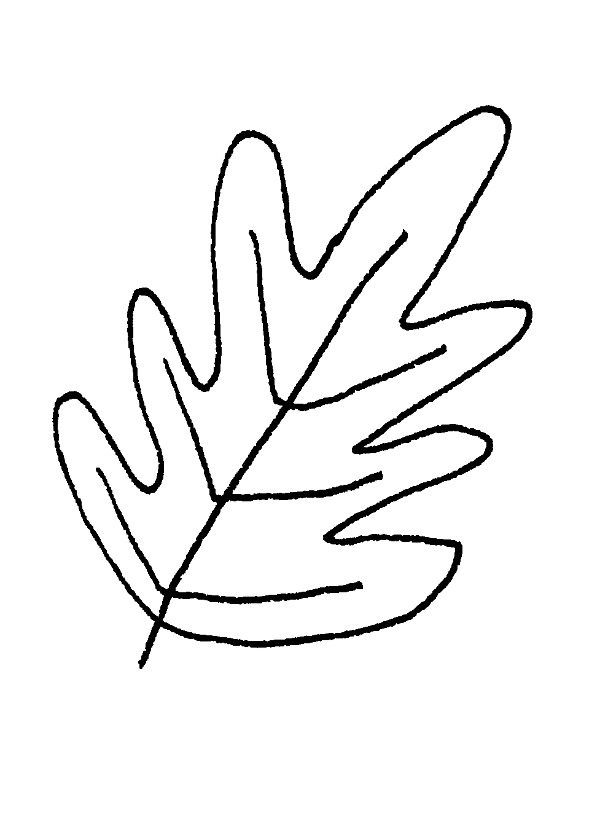 600x827 Huge Collection Of 'line Drawing Of A Leaf' Download More Than