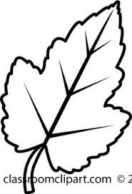 185x272 Image Result For Leaf Line Art Amy Scarf Black, White Leaves