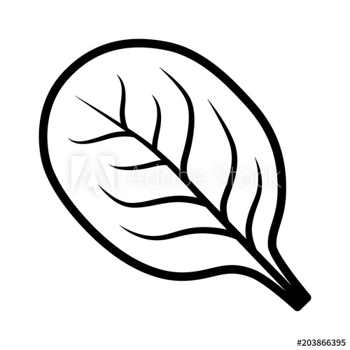 500x500 Spinach Vegetable Leaf Line Art Vector Icon For Food Apps