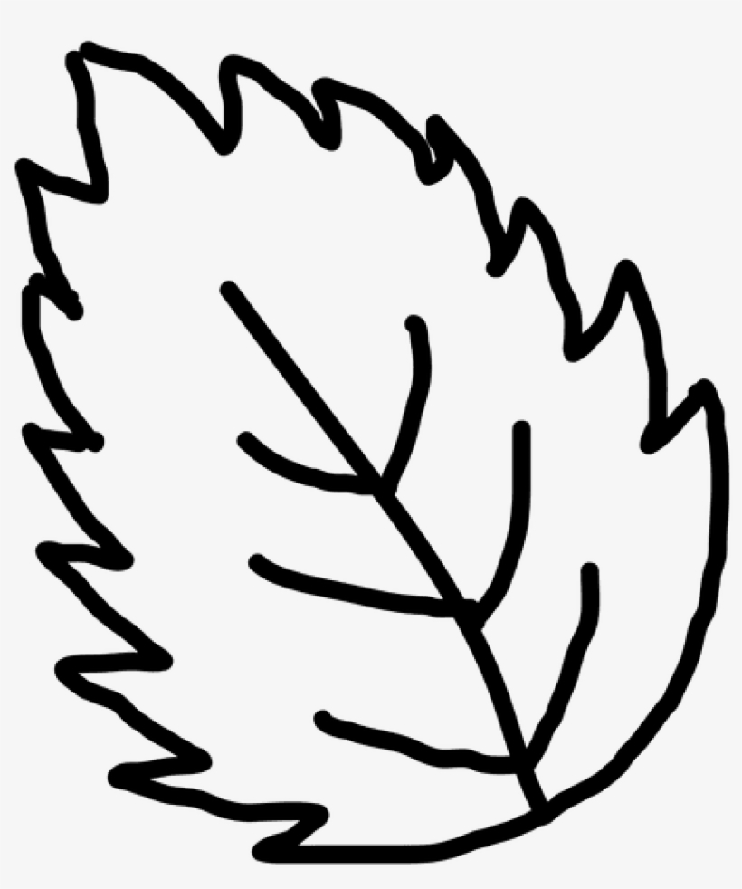 820x982 Leaf Outline Vector Png