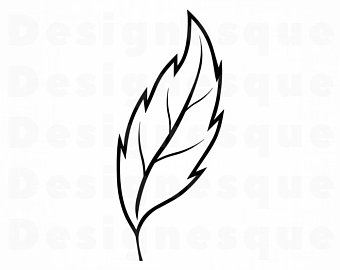 340x270 Leaf Outline Etsy