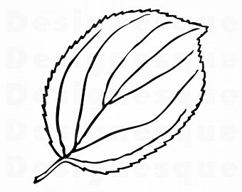 340x270 Leaf Outline Clipart Etsy