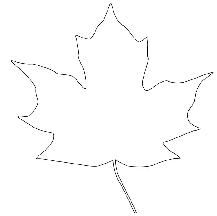 Leaf Outline Drawing | Free download on ClipArtMag