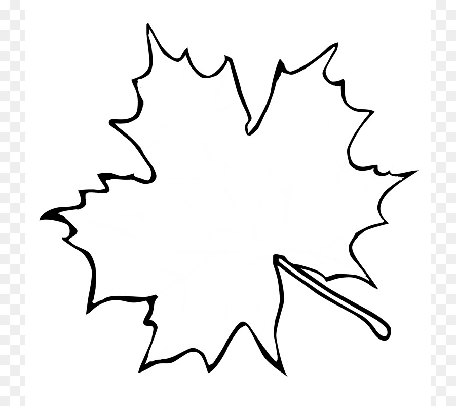 900x800 Outline Of A Maple Leaf Maple Leaf Outline Drawing Stock Vector