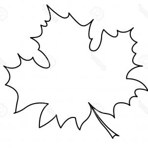 300x300 Stock Illustration Maple Leaf Outline Drawing Soidergi
