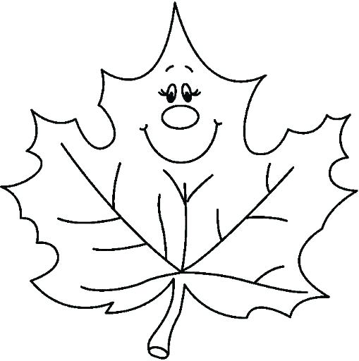 509x512 Outline Of Leaves
