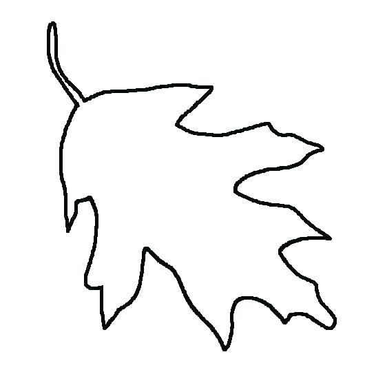 546x540 fall leaves outline fall leaf drawing drawing leaves autumn leaves
