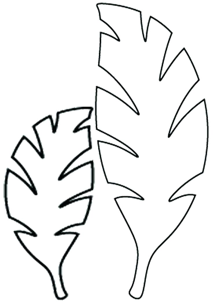 736x1041 Leaf Stencil Pattern Image Banana Brittanylee