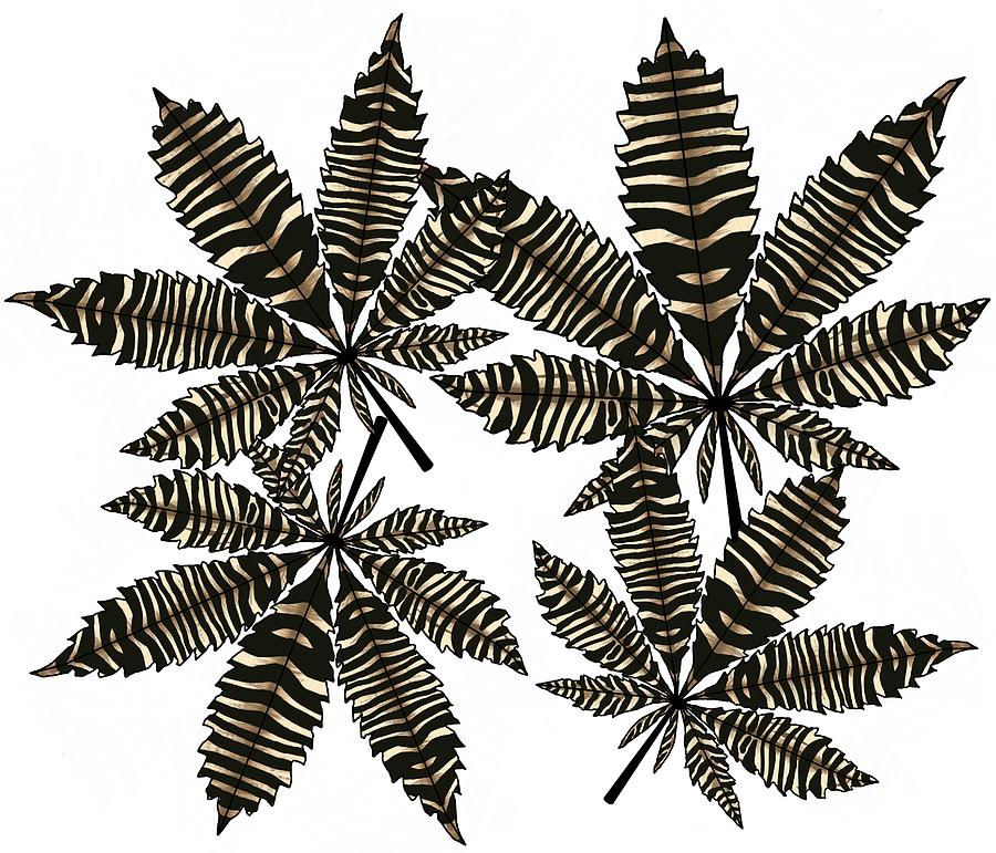 900x771 Zebra Pattern Marijuana Leaf Drawing