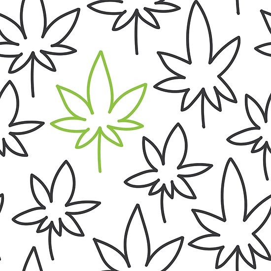 550x550 Cannabis Leaf Seamless Pattern Doodle Drawing Vector Posters