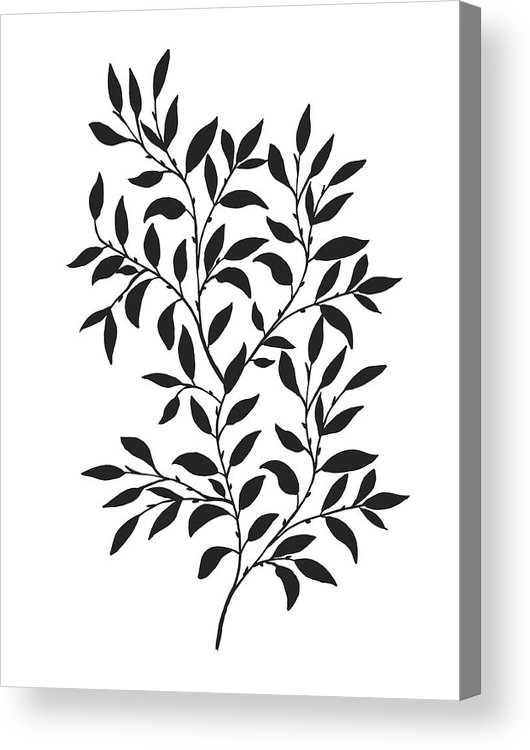 530x750 Hand Drawn Leaves Vine Acrylic Print