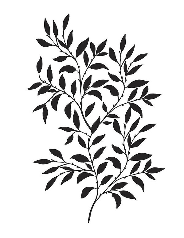 599x776 Hand Drawn Leaves Vine Art Print
