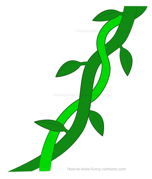 510x600 How To Draw Vines